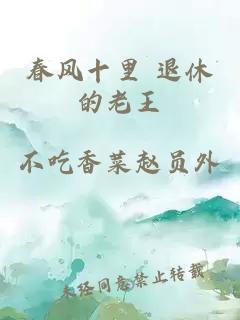 春风十里 退休的老王